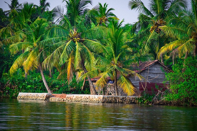 Hut surrounded by palm trees